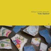 Asleep Country - Fake Opulent