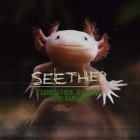 Seether - Curiosities, Rarities, and Pariahs