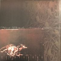 Ananda & Botch & Knut - Ananda / Knut / Botch