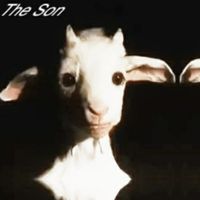 Coileight - The Son