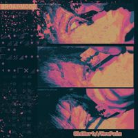 Broadmoor - OldHurt//newpain