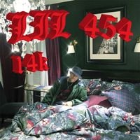 454 - 14k