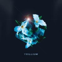 Connor Price - Trillium