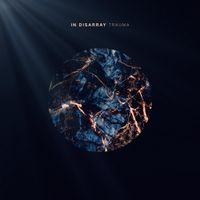 In Disarray - Trauma