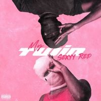 Sexyy Red - My Twin