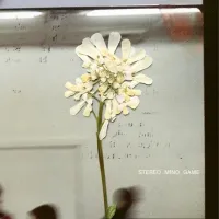Daughter - Be On Your Way