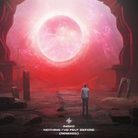 Insko - Nothing I've Felt Before (Remixes)