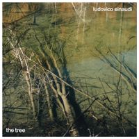 Ludovico Einaudi - The Tree