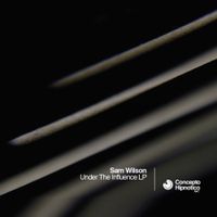 Sam Wilson - Under The Influence
