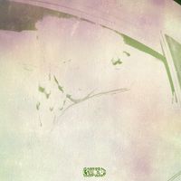 Izaya Tiji - Agent Noir