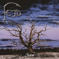 Fejd - Storm