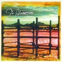 Gin Blossoms - Outside Looking In: The Best of the Gin Blossoms