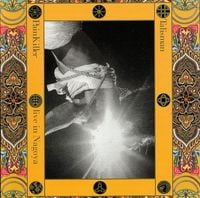 PainKiller - Talisman: Live in Nagoya