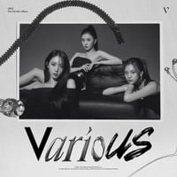 VIVIZ - VarioUS