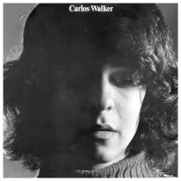 Carlos Walker - A frauta de P&atilde;