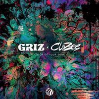 GRiZ - Color Of Your Soul