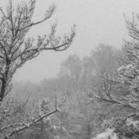 L'Hiver Blanc - Snow