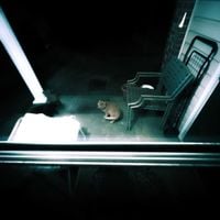 Isaur - Never