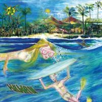Public Image Ltd. - Hawaii
