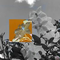 Kudasai - When I See You