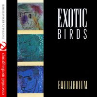 Exotic Birds - Equilibrium