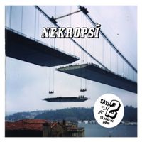 Nekropsi - Nekropsi