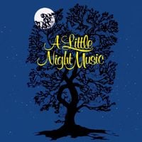 Broadway Cast - A Little Night Music [Original Broadway Cast]