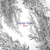 Vidulgi OoyoO - Aero