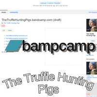 The Truffle Hunting Pigs - TheTruffleHuntingPigs.bandcamp.com