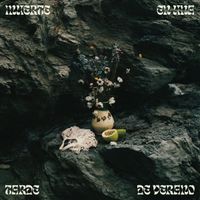 Sergio D&iacute;az De Rojas - Muerte en una tarde de verano