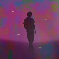Lars Vaular - Vintage Velour