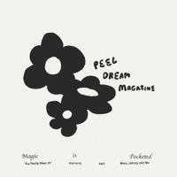 Peel Dream Magazine - Magic is Pocketed