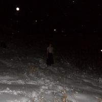Inge Marie - Collected Birdsong Recordings, 2020​-​2021