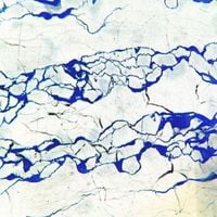 Clams Casino - Instrumental Mixtape 2 B-Sides
