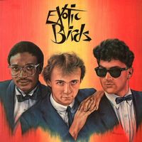 Exotic Birds - Exotic Birds