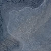 Wilson Trouv&eacute; - Paths