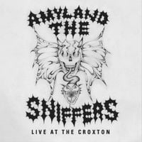 Amyl and the Sniffers - Live at the Croxton