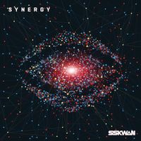SSKWAN - Synergy