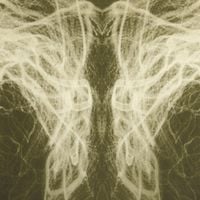 Coil - Airborne Bells