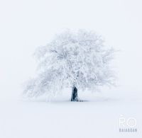 Ṙo - Baiagoan