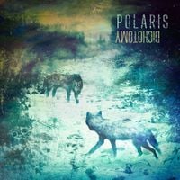 Polaris - Dichotomy