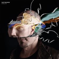 Sam Paganini - Satellite