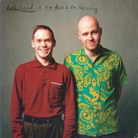 Bob Hund - Ett fall och en l&ouml;sning