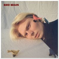 Andrew Garden - BIRD BRAIN