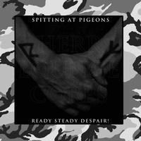 Miro Snejdr - Spitting at Pigeons // Ready Steady Despair!