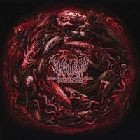 Vulvodynia - Eternal Wasteland of Galaxies