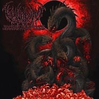 Vulvodynia - Banquet of Enigmatic Horrors, Pt. 2: Agony