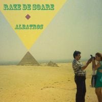 Raze De Soare - Albatros