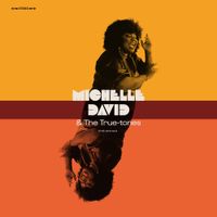 Michelle David & The True-tones - Truth and Soul