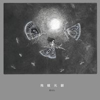 黄衍仁 - 飛蛾光顧